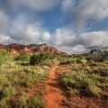 Uncovering the Natural Beauty of Hays County, TX Trails