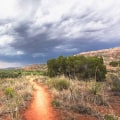 The Ultimate Guide to Conquering the Most Challenging Trails in Hays County, TX