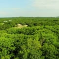 Discovering the Natural Wonders of Hays County, TX
