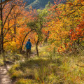 Discovering the Best Fall Foliage Trails in Hays County, TX