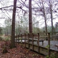 Exploring the Wheelchair Accessible Trails in Hays County, TX: A Guide for Outdoor Enthusiasts with Mobility Challenges