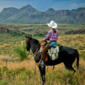 Horseback Riding in Hays County, TX: A Paradise for Outdoor Enthusiasts