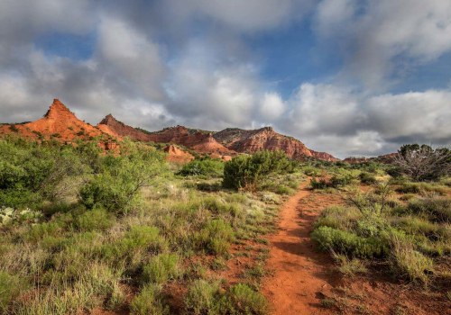 Uncovering the Natural Beauty of Hays County, TX Trails