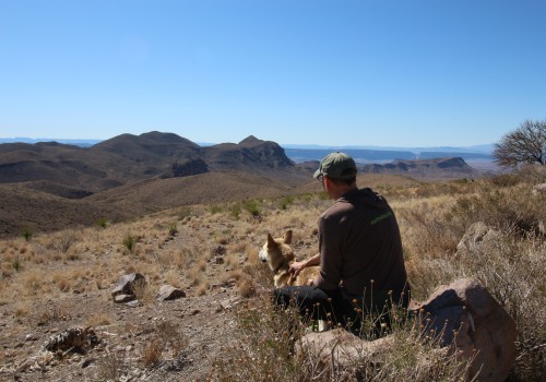 Discovering the Dog-Friendly Trails of Hays County, TX