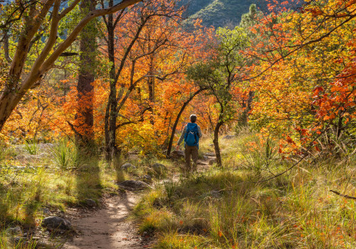 Discovering the Best Fall Foliage Trails in Hays County, TX