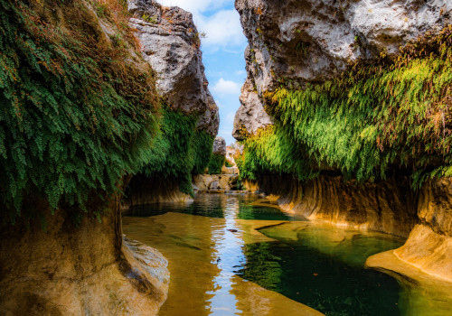 Hiking in Hays County, TX: A Beginner's Guide