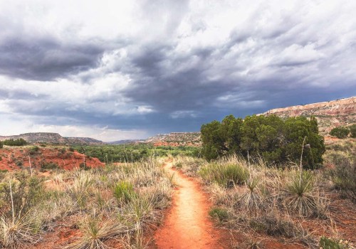 Discovering the Natural Beauty of Hays County, TX
