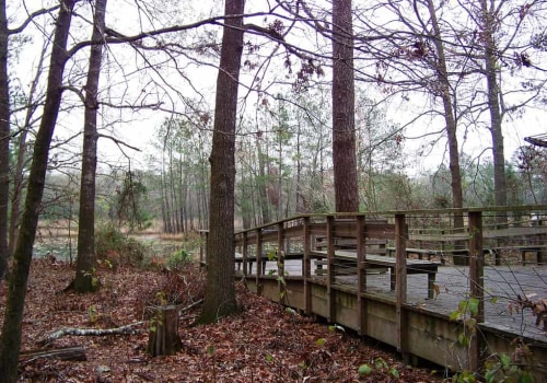 Exploring the Wheelchair Accessible Trails in Hays County, TX: A Guide for Outdoor Enthusiasts with Mobility Challenges