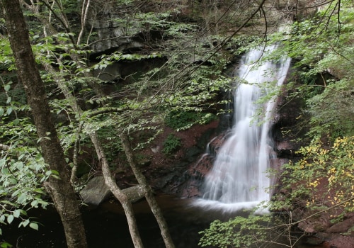 Hiking to Waterfalls in Hays County, TX