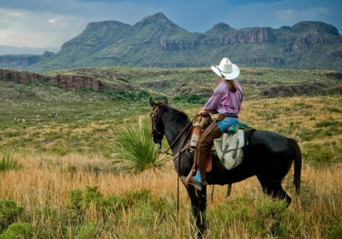 Horseback Riding in Hays County, TX: A Paradise for Outdoor Enthusiasts